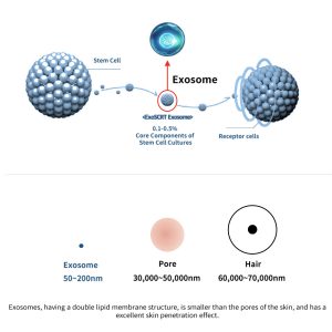 Dermaline-Exosome.jpeg